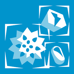 Particle Sense